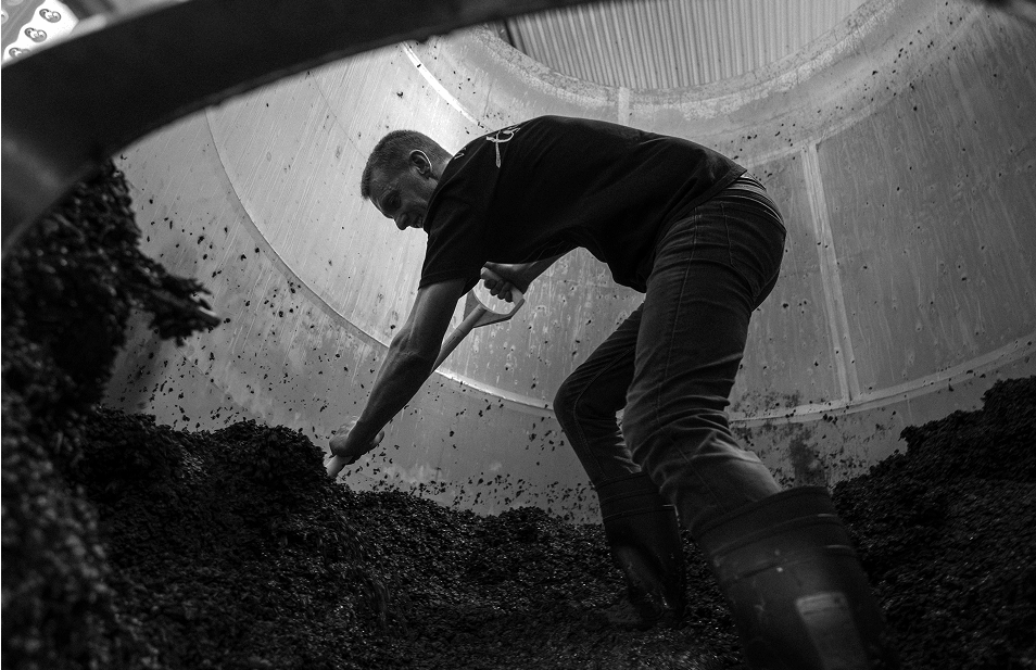 A black and white photograph of a man in a dark shirt and jeans reaching down into a large pile of dark compost or mulch inside a circular structure.
