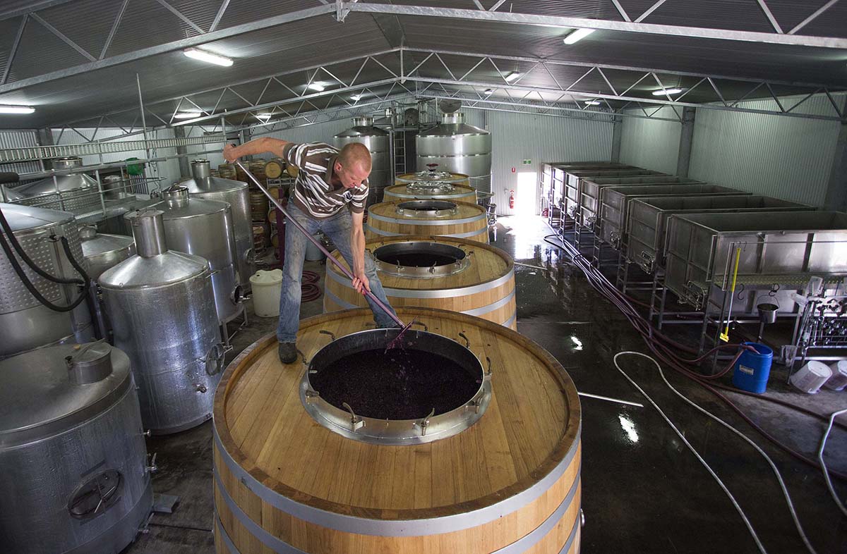 winemaking barrels